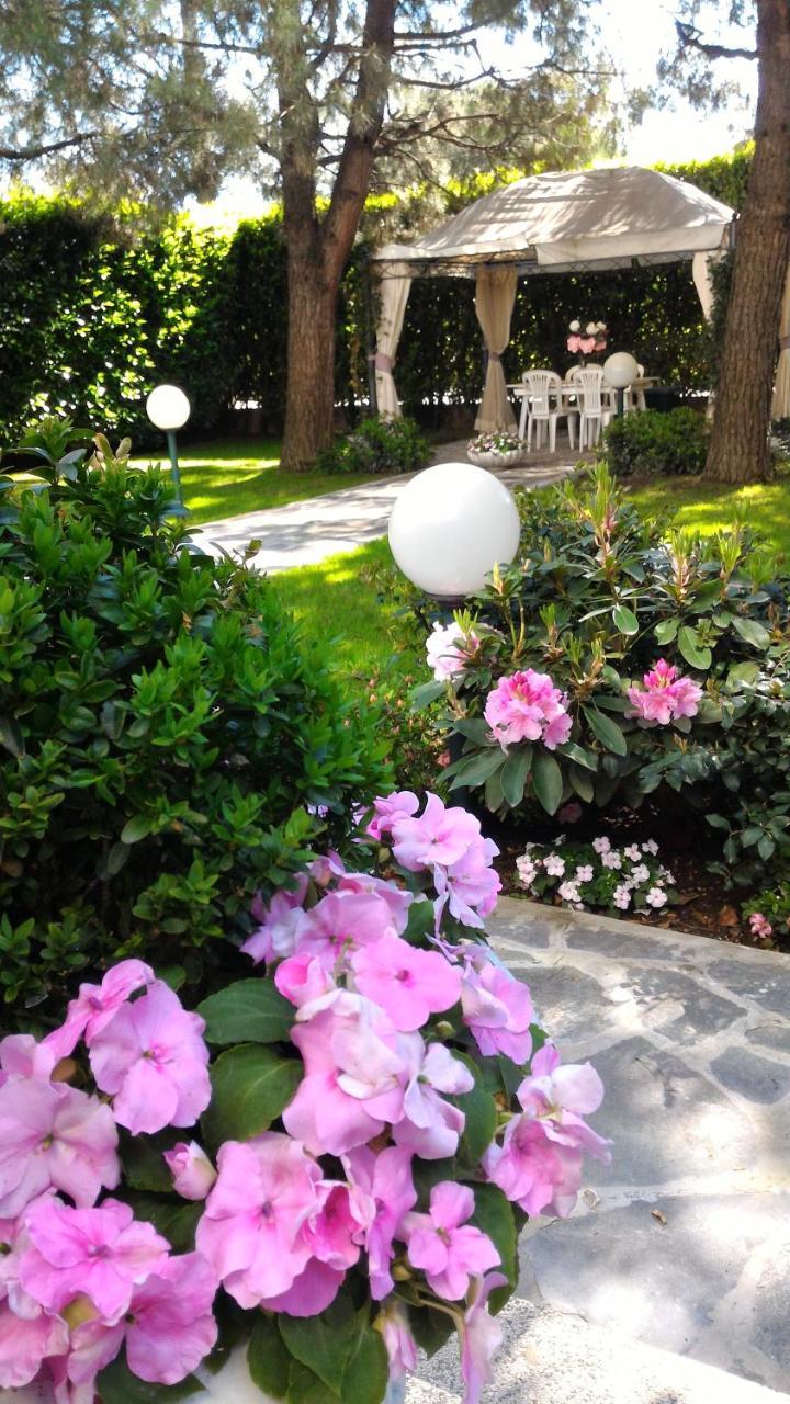 B&B Le Magnolie Gallarate Exteriör bild