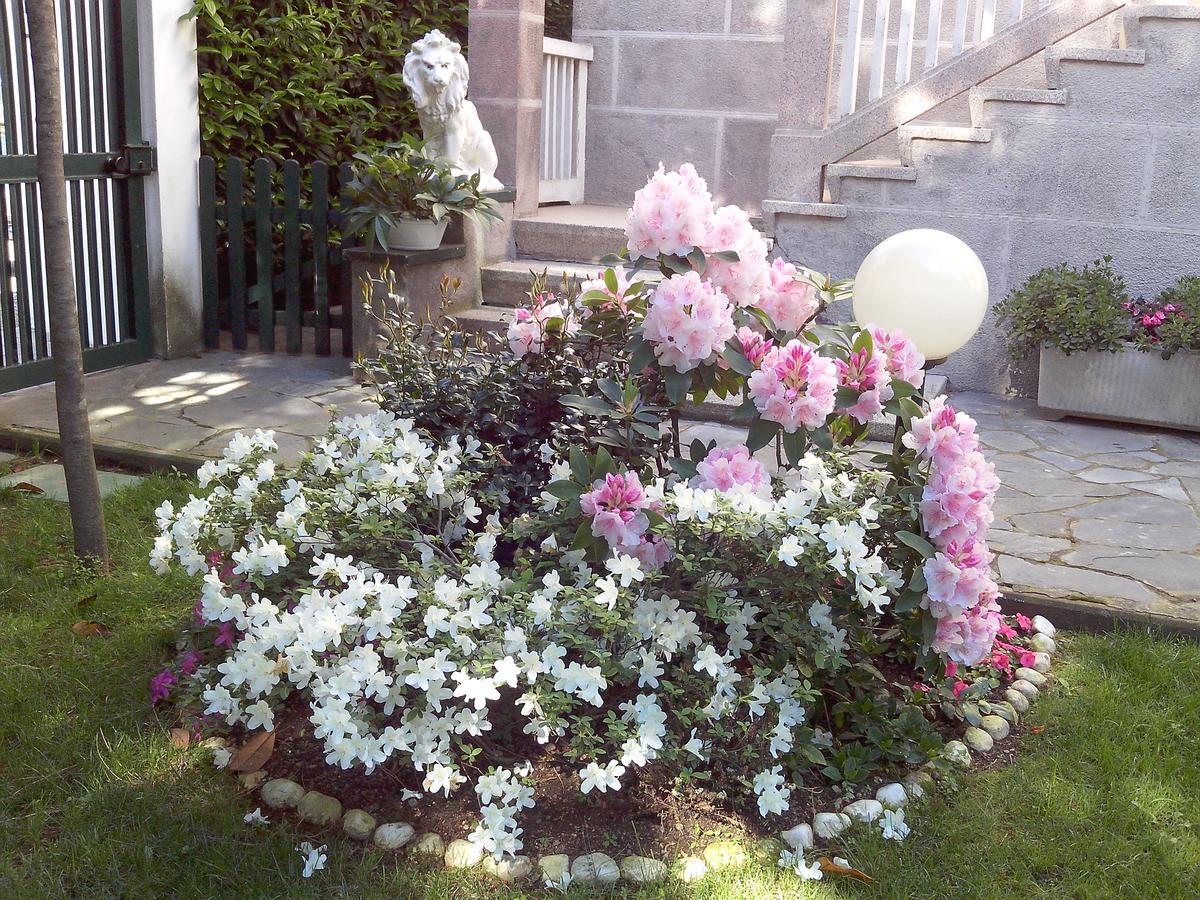 B&B Le Magnolie Gallarate Exteriör bild